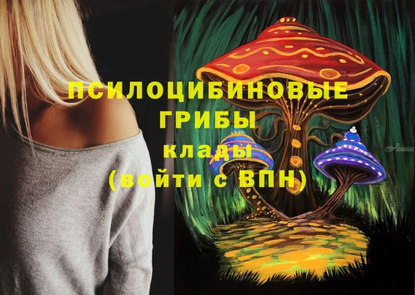 дживик Приозерск