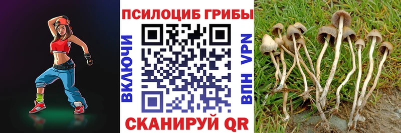Галлюциногенные грибы MAGIC MUSHROOMS Тайга